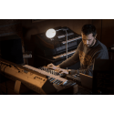 ARTURIA AUDIOFUSE STUDIO REV2 : interface audio 24 bits 192 kHz