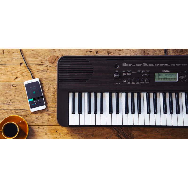 Yamaha psr e360. Синтезатор yamaha psr-e223. Синтезатор yamaha psr-e360b разъемы. Синтезатор yamaha ypt-360. Миди клавиатура ямаха.