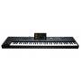 Pa5X76 Korg photo musicmatos.com