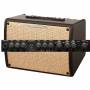 IBANEZ T30II TROUBADOUR : Ampli acoustique pour votre guitare et voix