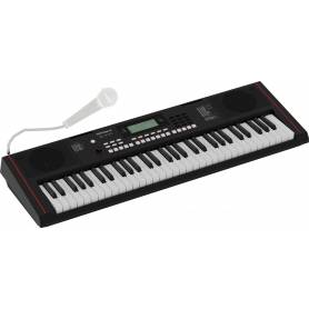 E-X10 Roland : branchez votre micro, jouez et faites de la musique