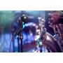 SHURE NXN5 : Micro Dynamique Supercardioïde pour Amplis Guitare