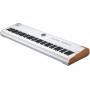 ARTURIA ASTROLAB-88 : clavier 88 notes toucher piano, sons iconiques