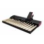 NORD PK25 : pédalier basse MIDI avec pédale d'expression EP30
