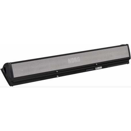 KORG PAAS MK2 : Un système d'amplification pour  Pa5X plus performant