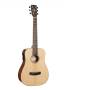 CORT EARTH GO OPEN PORE : guitare acoustique HyVibe H2 + housse