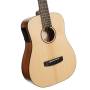 CORT EARTH GO OPEN PORE : guitare acoustique HyVibe H2 + housse