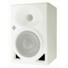 KH120AG Neumann - Monitor Studio