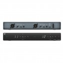 XSW1-825 DUAL  Sennheiser double micro hf
