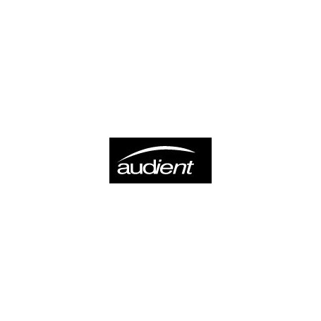 audient